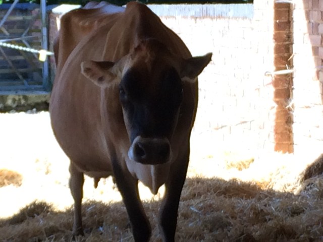 2016-07-19 10.57.36-1