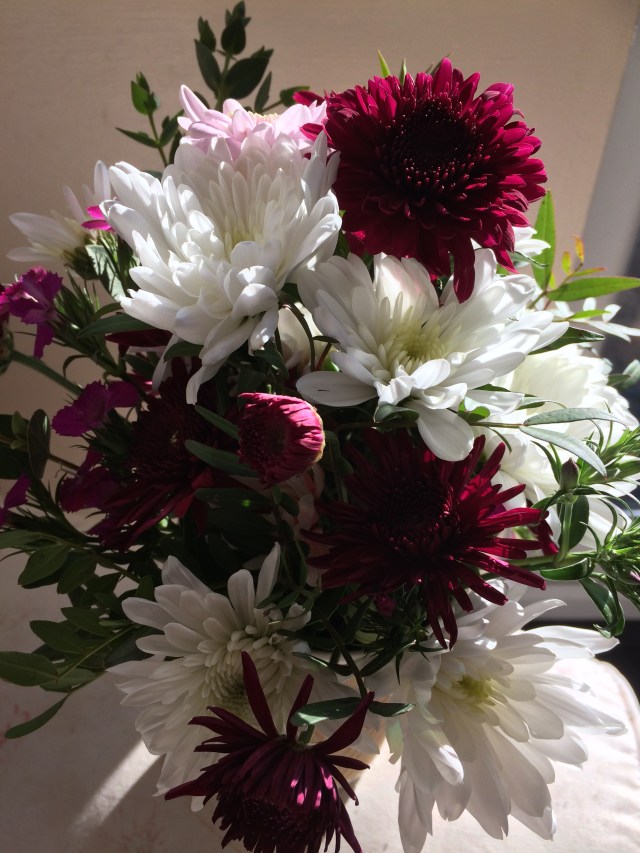 2017-03-24 15.47.51 HDR - Copy