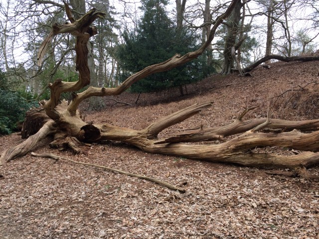 2017-03-29 14.01.19-1