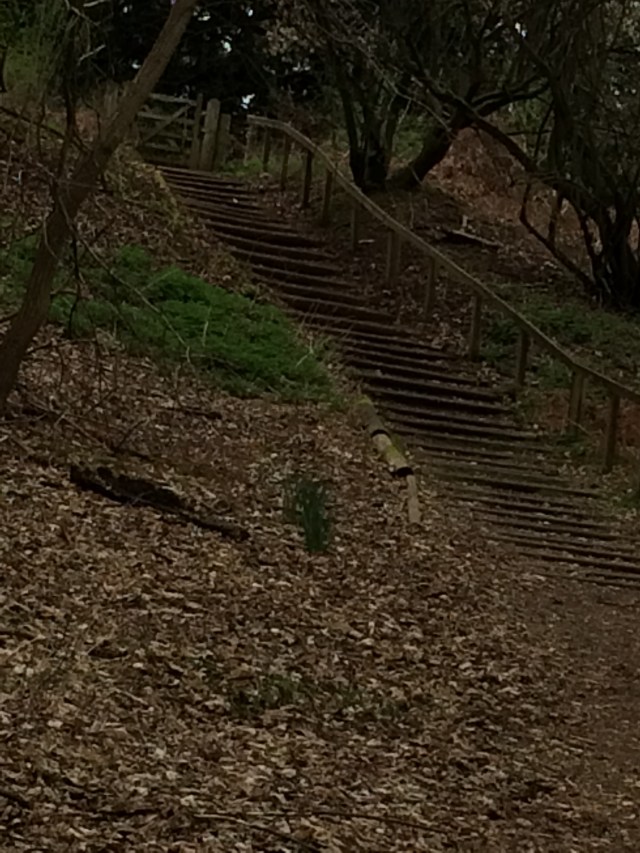 2017-03-29 14.01.27 HDR